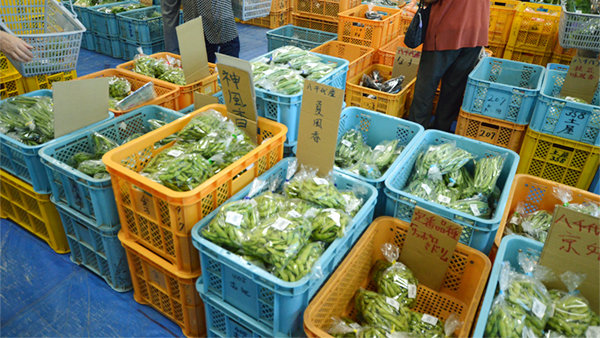 300728-edamame5