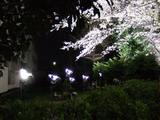 m-DSCF5952