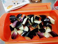 IMG_20250307_175259-s