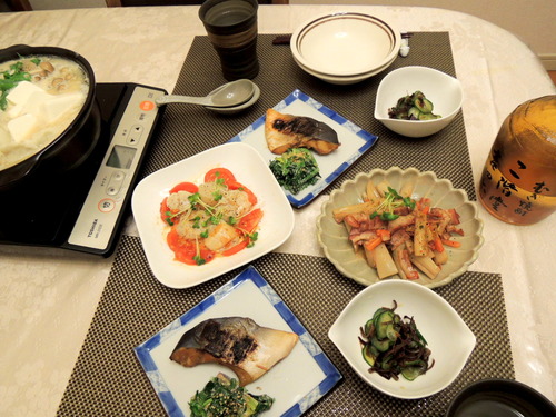 p-DSCN0533