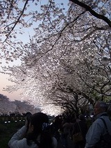 �饤�ȥ��åף�