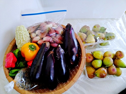 IMG_20250924_101330-s