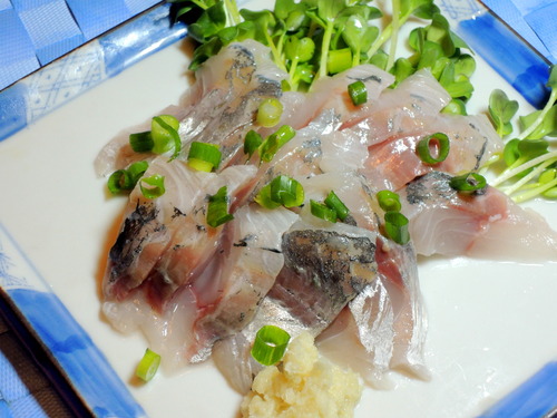 p-DSCN5607
