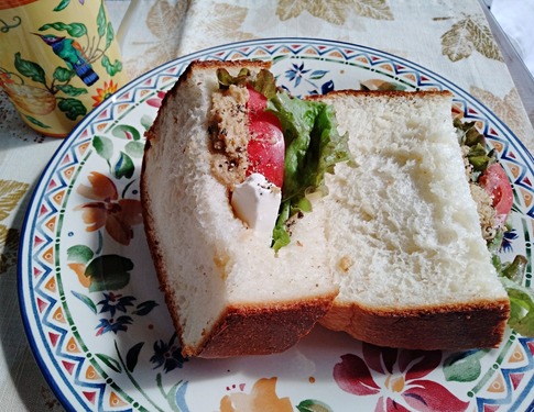 IMG_20241020_120122-m