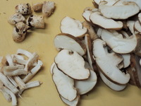 p-DSCN9104