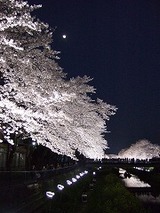 �饤�ȥ��åף���