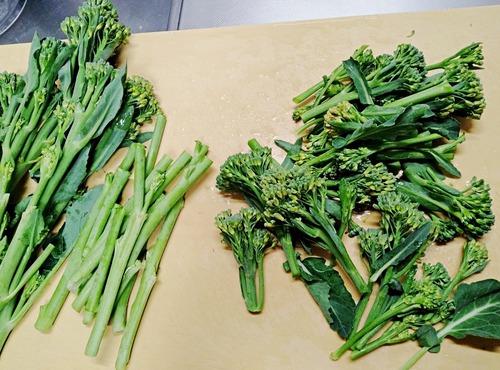 IMG_20250321_185726-s