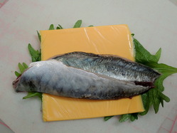 p-DSCN6430