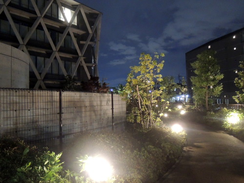 p-DSCN4605