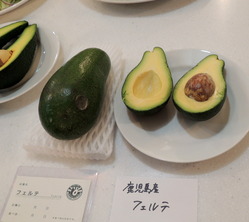 p-DSCN9416