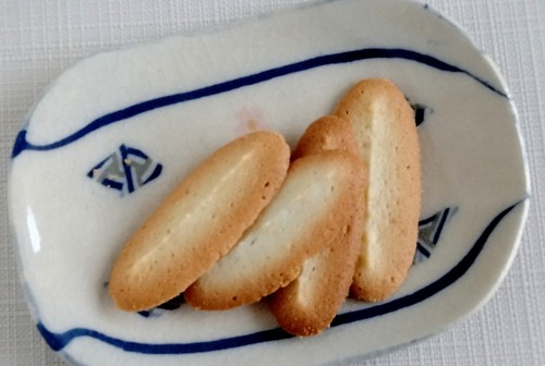 p-IMG_20230425_091648