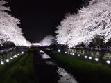 m-DSCF5958