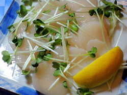 p-DSCN6329