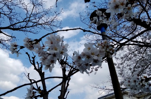 p-IMG_20230322_140820