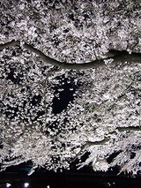 �饤�ȥ��åף���