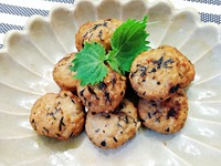 IMG_20240912_200932-s