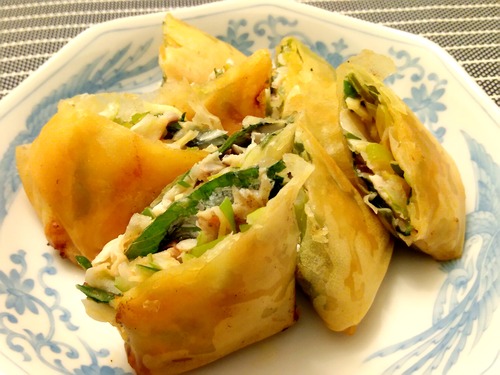 IMG_20240421_193749-s