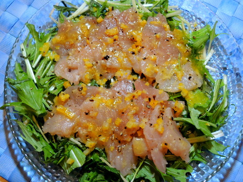 p-DSCN0144