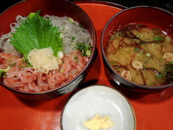 p2-DSCN5098