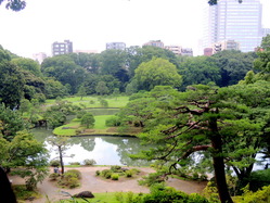 p-DSCN4214