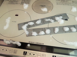 p-DSCN8321