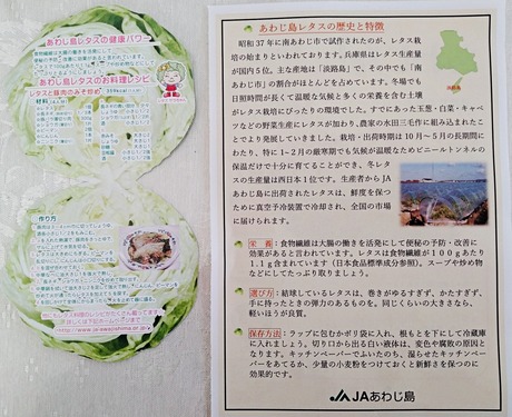 IMG_20241129_111334-s