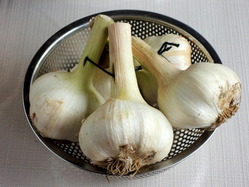 p-DSCN0587