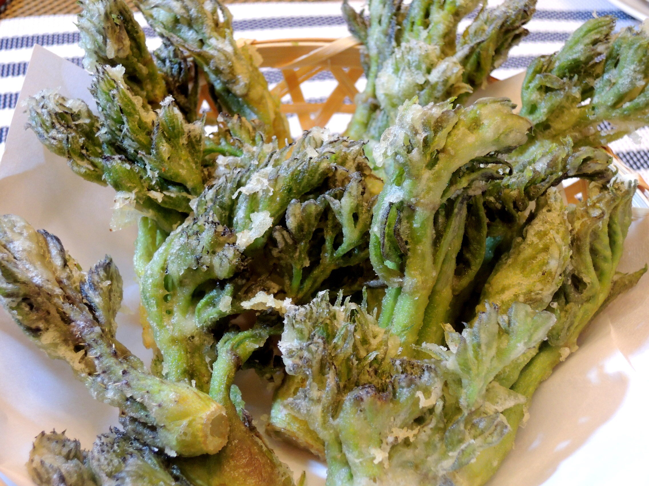 山形の春を感じる 山菜の天ぷら３種 タラの芽 こごみ コシアブラ 今夜も 家飲み居酒屋