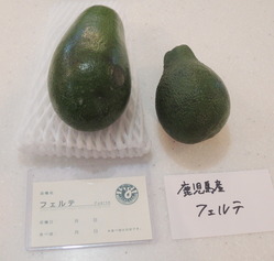p-DSCN9402