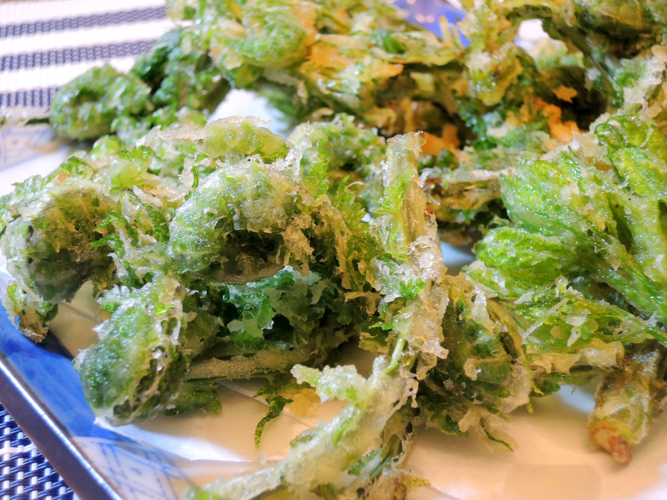 天然自然春の山菜 ♪コゴミ10苗 ♪天ぷら ♪おひたし♪ サラダ♪ 観葉植物にもなります ♪健康野菜♪