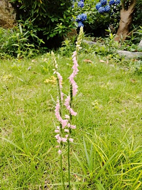 IMG_20250616_105745-s