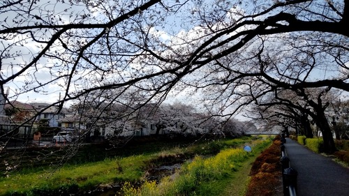 p-IMG_20230322_140345