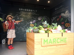 p-DSCN5081