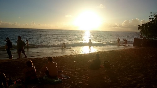 p-¥Ï¥ï¥¤Î¹¹Ô(20161213-19)315