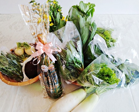 IMG_20250309_100534-s