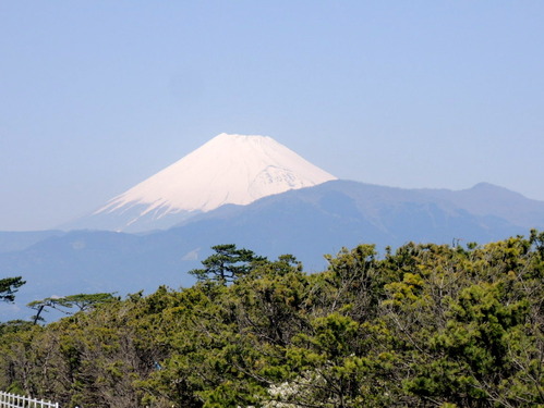 p2-DSCN5082