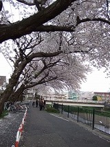 �饤�ȥ��å�