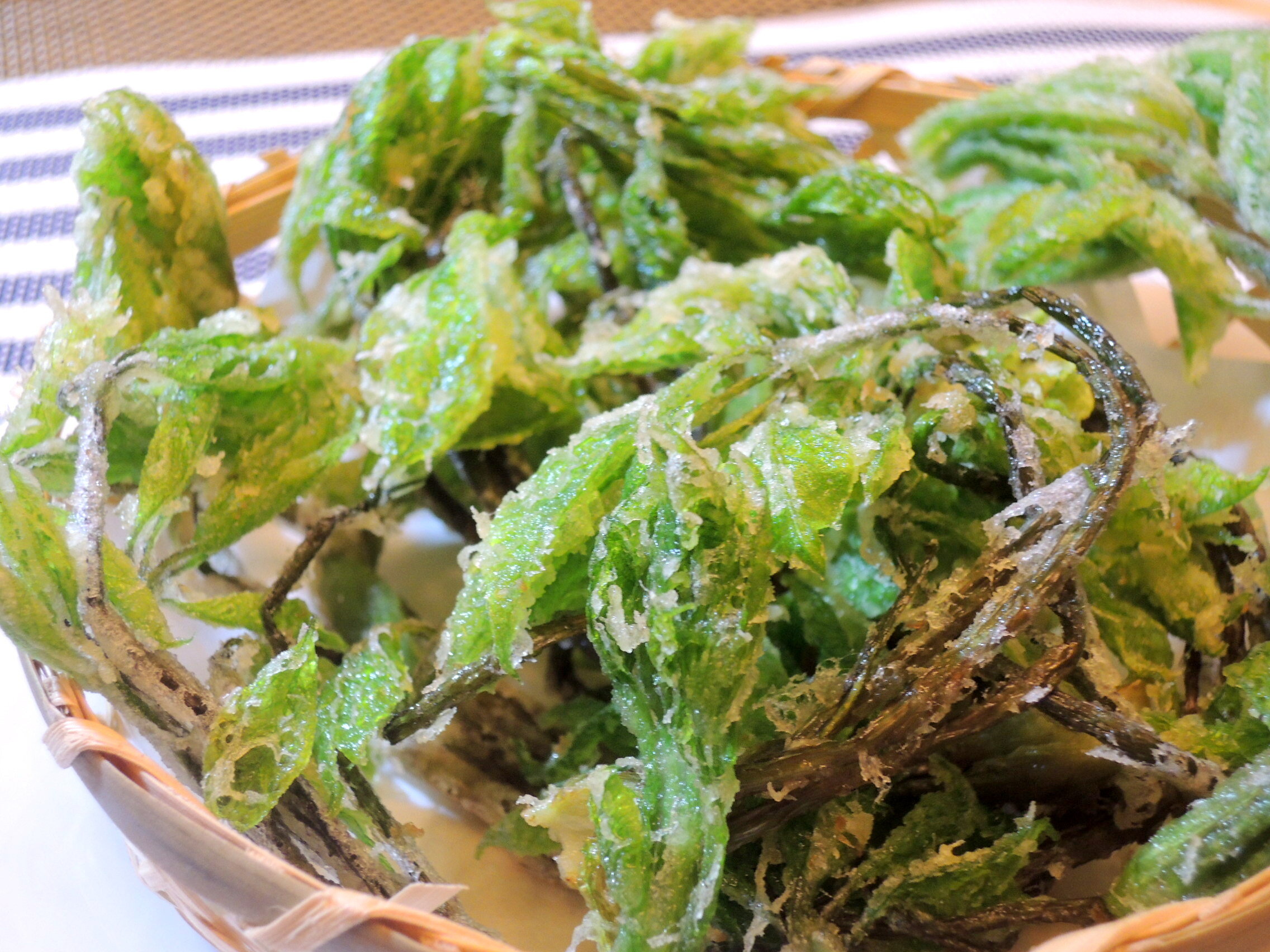 山形の春を感じる 山菜の天ぷら３種 タラの芽 こごみ コシアブラ 今夜も 家飲み居酒屋