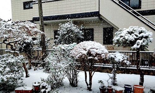 IMG_20260208_091834-s