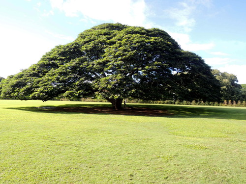 p-¥Ï¥ï¥¤Î¹¹Ô(20161213-19)275