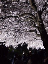 �饤�ȥ��åף���