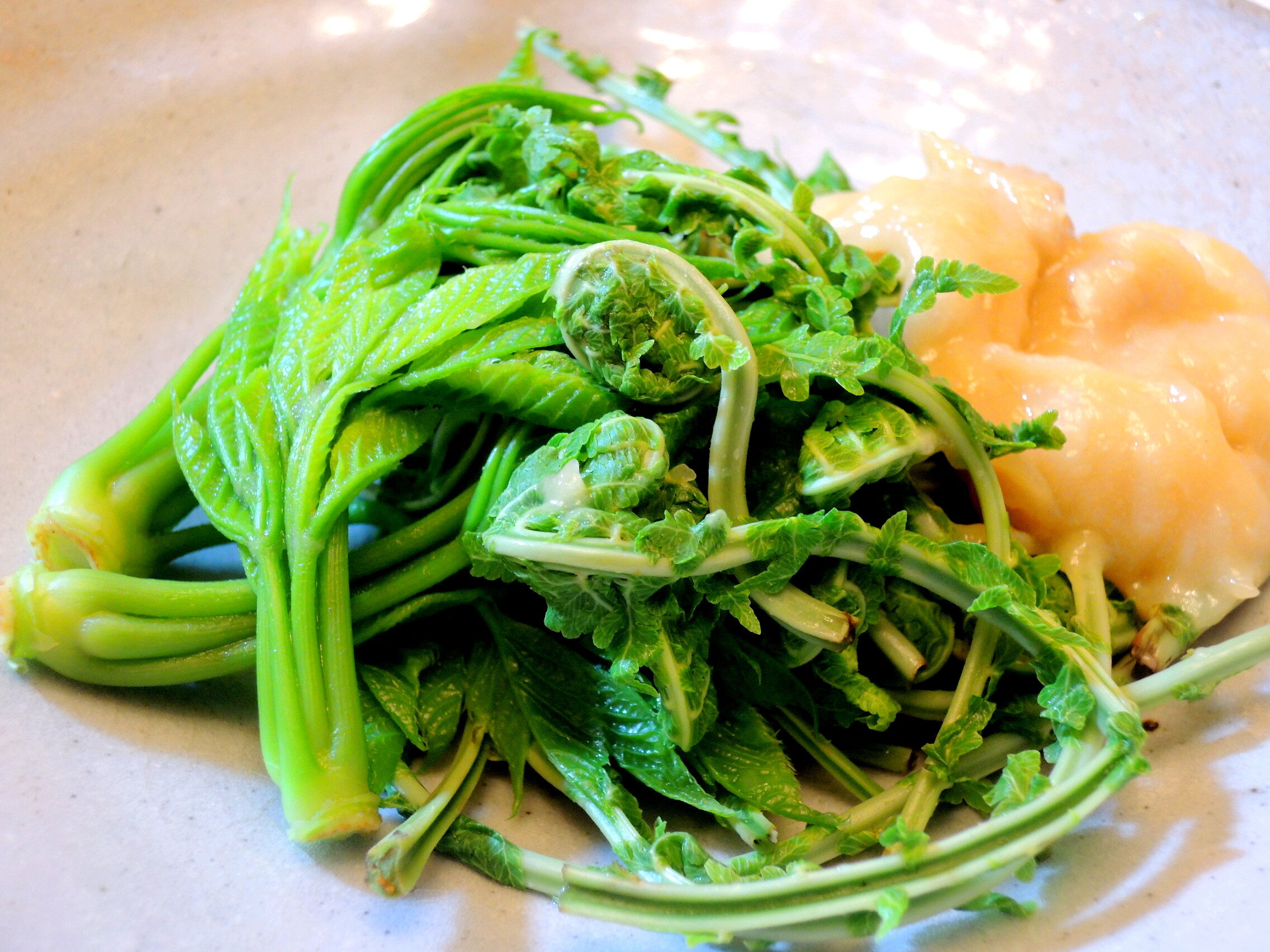 春の山菜を食べ尽くす 山菜のごま味噌添え 今夜も 家飲み居酒屋