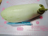 IMG_20251017_174603-s