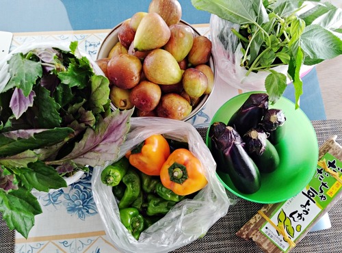 IMG_20240915_130315-s