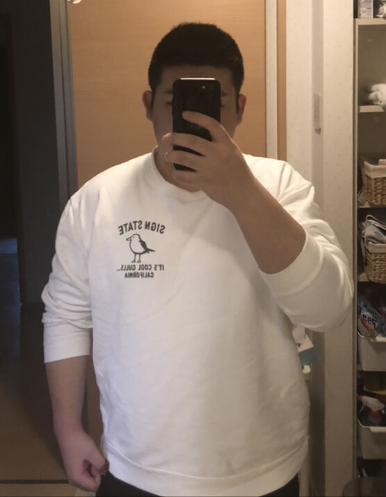 悲報 170センチで100キロあるけど痩せたい どうしたらいい くれいん速報 悲報 170センチで100キロあるけど痩せたい どうしたらいい くれいん速報