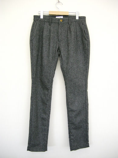 IC-P55-gr