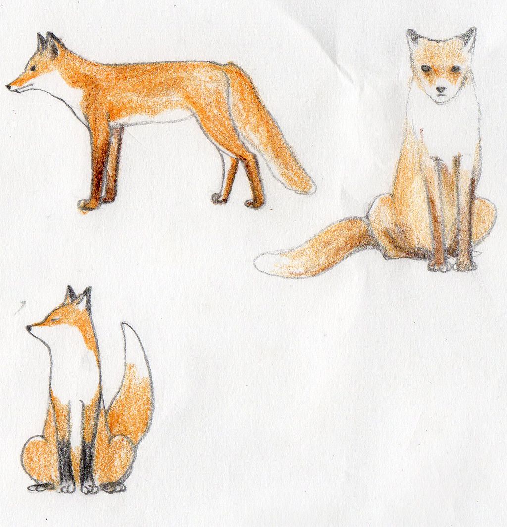 デフォルメ キタキツネ 小樽運河 部室と粘土とワタシ