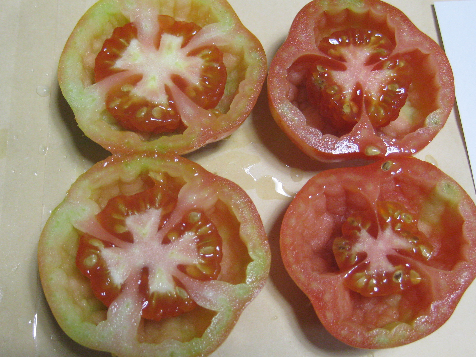 19年 Cトマト バーゲンススタッフィング の記録 冒険菜園の 別館 公開備忘録 愛知県西部