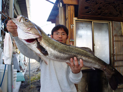94cm ojaki