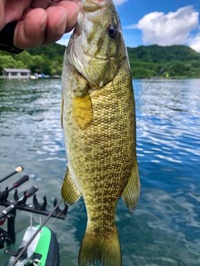 289943142_969561877774725_7061324806982875246_n